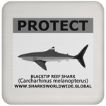 PRS BLACKTIP REEF V2 C