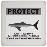 PRS BLACKTIP REEF V2 C