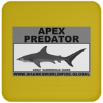 AP G HAMMERHEAD C