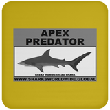 AP G HAMMERHEAD C