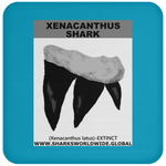 GR XENACANTHUS T C