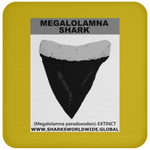 GR MEGALOLAM T C