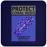 PCRS S EGG C