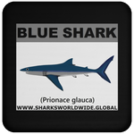 SSP BLUE SHARK C