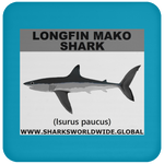 SSP LONGFIN C