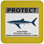PRS BLUE SHARK V2 C