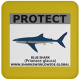 PRS BLUE SHARK V2 C