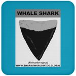 GR WHALE S T C