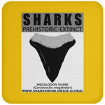 GR SSPX T MEGALODON C