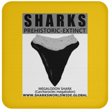 GR SSPX T MEGALODON C