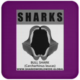 GR SRS J BULL SHARK C