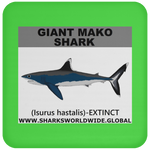 SSP GIANT MAKO C