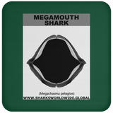 GR MEGAMOUTH J C