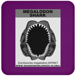 GR MEGALODON J C