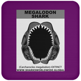 GR MEGALODON J C