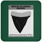 GR MEGALOLAM T C