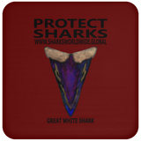 PSKT GWS V6 C