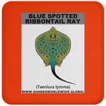 GR BS RIBBONTAIL C
