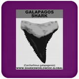GR GALAPAGOS T C