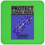 PCRS S EGG C