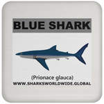 SSP BLUE SHARK C