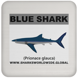 SSP BLUE SHARK C
