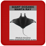 G OCEANIC MANTA C