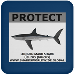 PRS LONGFIN V2 C