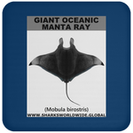 G OCEANIC MANTA C