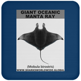 G OCEANIC MANTA C