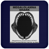 GR MEGALOLAM J C