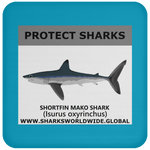 PRS SHORTFIN V1 C
