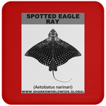 SPOTTED EAGLE RAY C