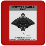 SPOTTED EAGLE RAY C