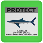 PRS BLUE SHARK V2 C