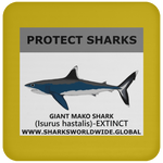 PRS GIANT MAKO V1 C