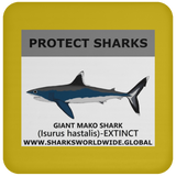 PRS GIANT MAKO V1 C