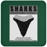 GR SSPX T MEGALODON C