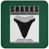 GR SSPX T MEGALODON C