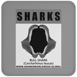 GR SRS J BULL SHARK C