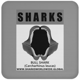 GR SRS J BULL SHARK C