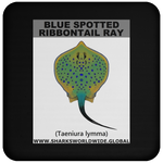 GR BS RIBBONTAIL C