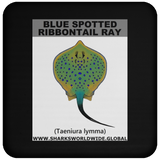 GR BS RIBBONTAIL C