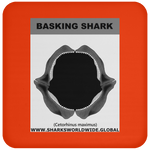 GR BASKING SHARK J C