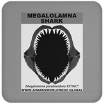 GR MEGALOLAM J C