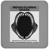 GR MEGALOLAM J C