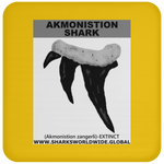 GR AKMONISTION T C
