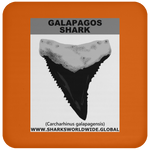 GR GALAPAGOS T C