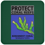 PCRS BIRDS C