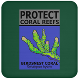 PCRS BIRDS C